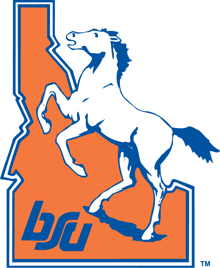 Boise State Broncos 1983-2002 Alternate Logo DIY iron on transfer (heat transfer)